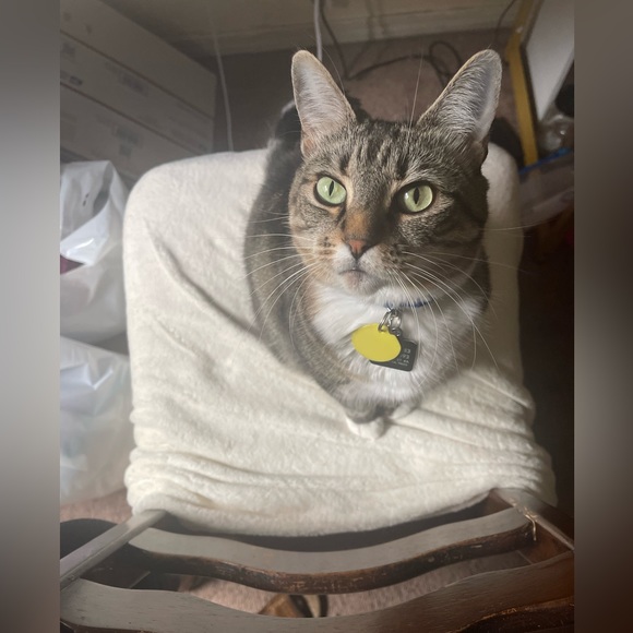 LIKE TO BE NOTIFIED WHEN I GO LIVE🎉 - Picture 6 of 17